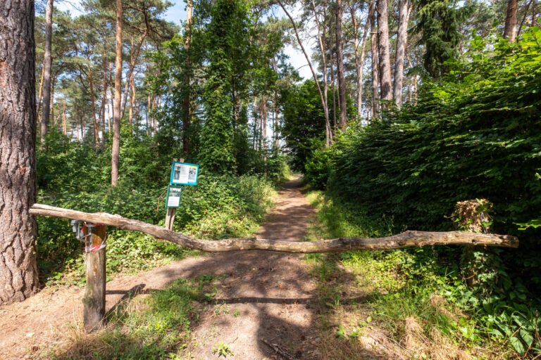 Het Kelderbos is een van de favoriete plekjes van Kavita. Je kan er mooi wandelen. © HLN Foto David Legreve 2023