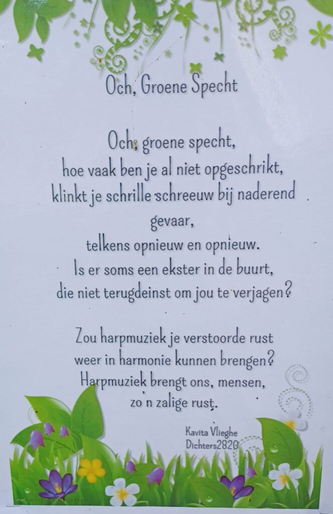 Gedicht 'Groene specht' © Kavita Vlieghe 2024