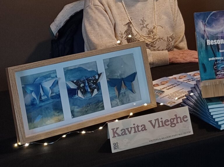 Origamivlinders ingekaderd - Kavita Vlieghe